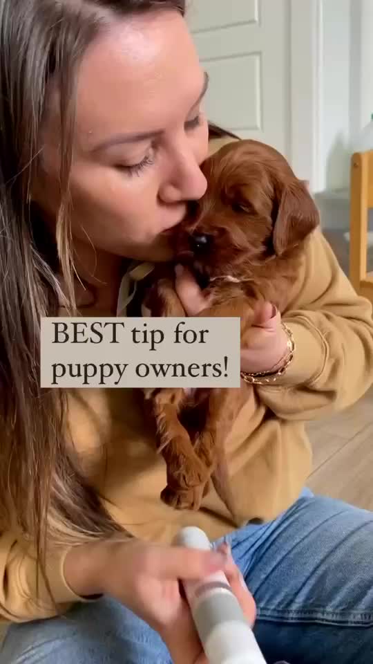 @Pupwell