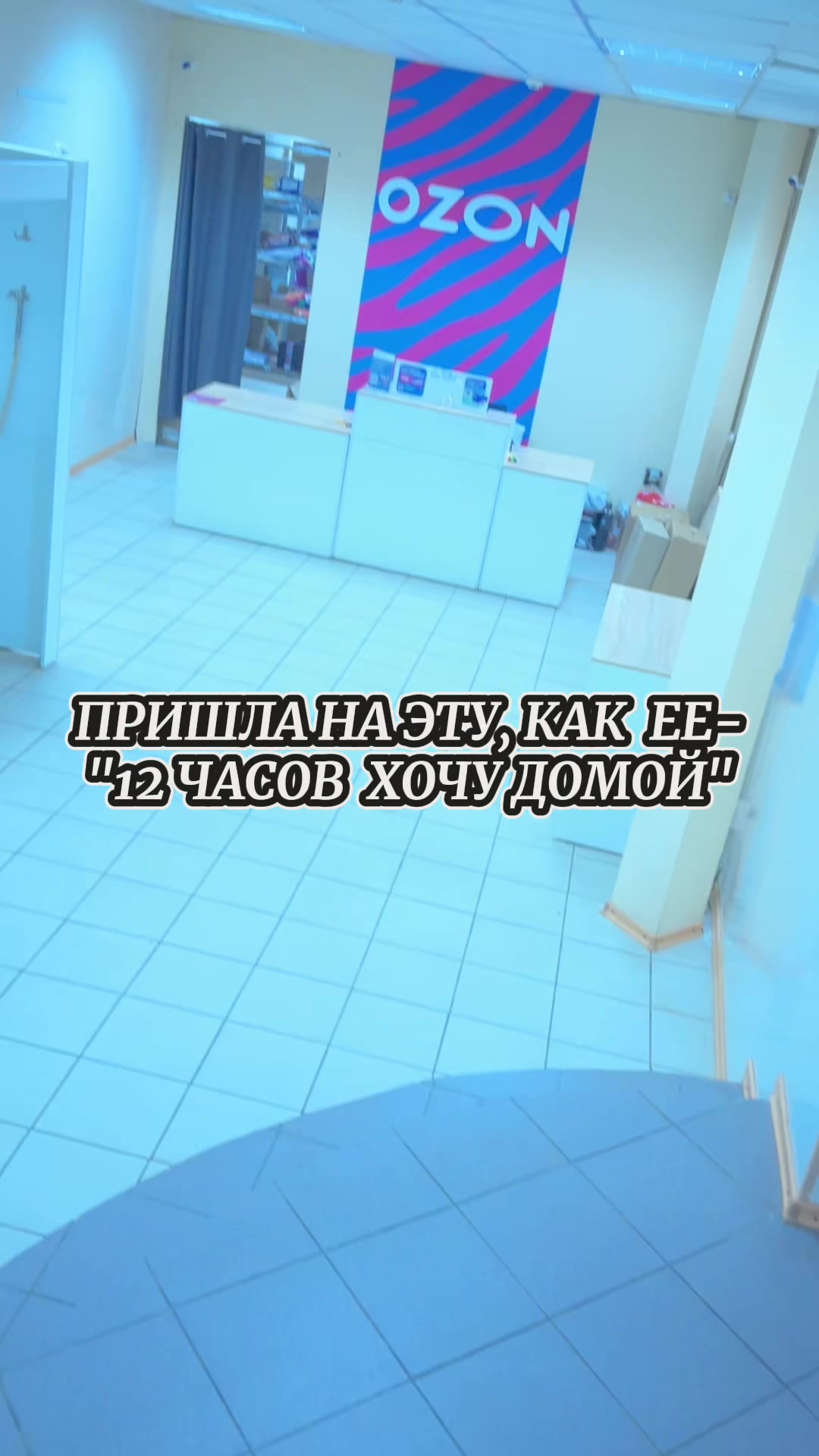 @shaba_010