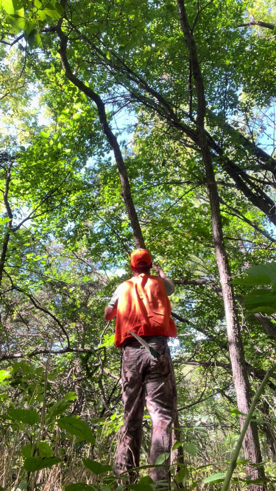 @Tactical Approach Outdoors LLC