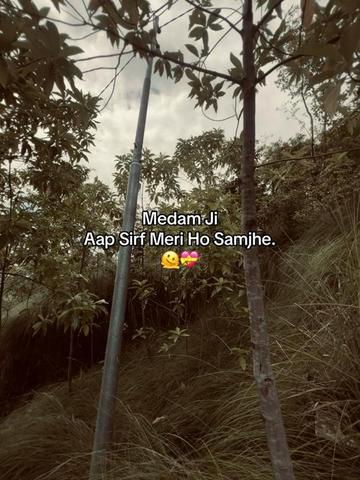 @ApplEE 🍎