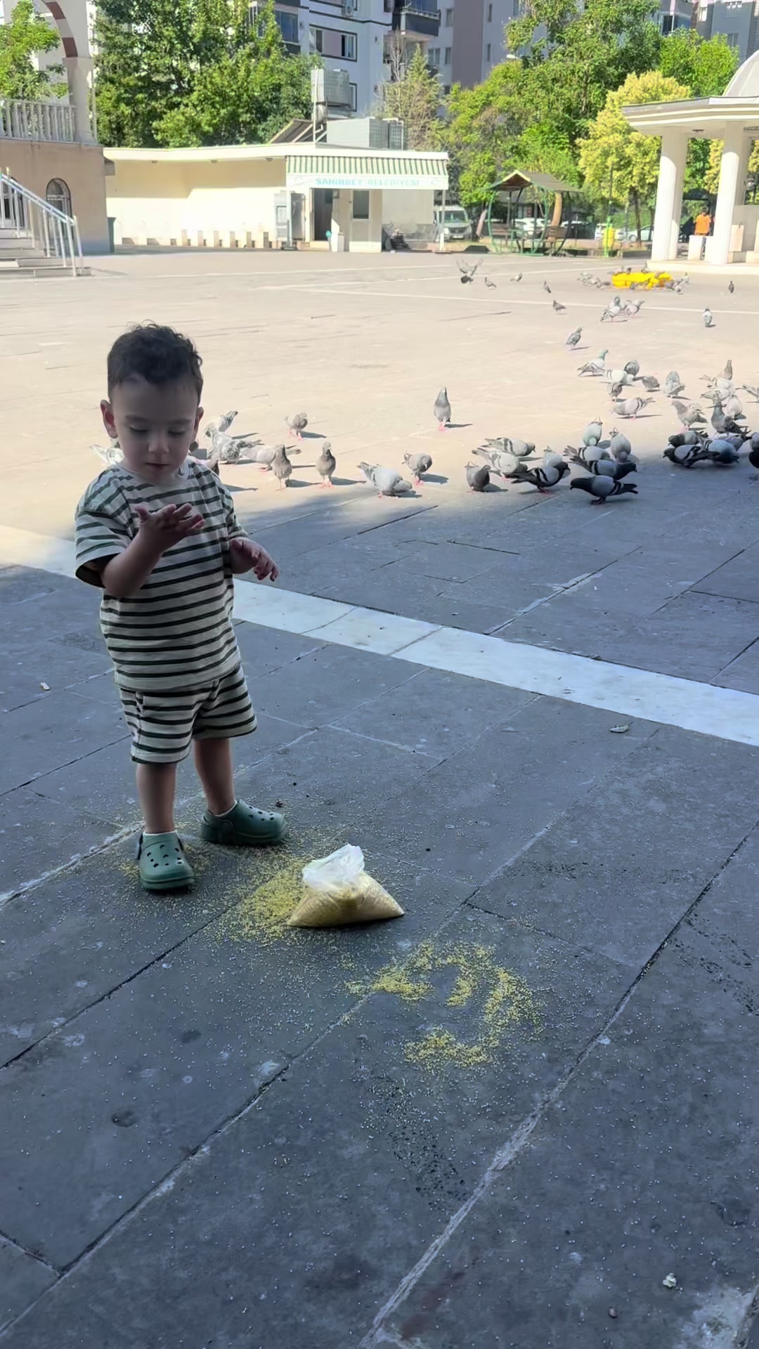 @Mesut kayaoğlu