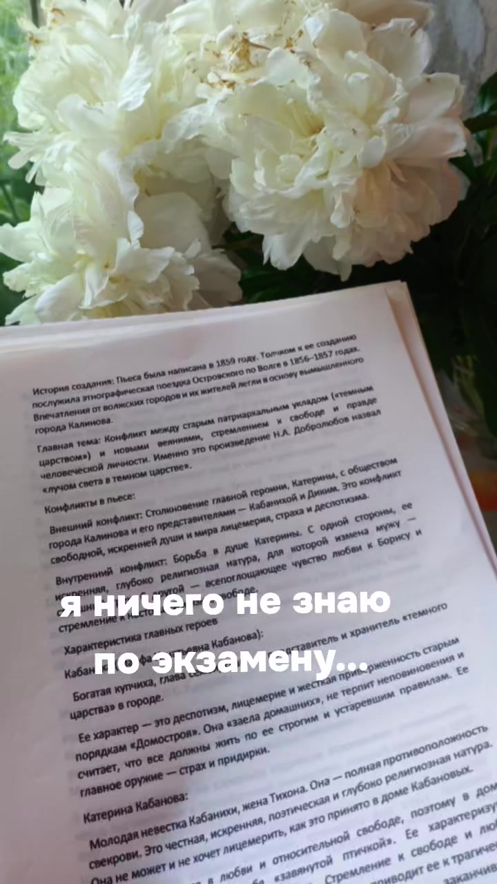 @alechik_WW