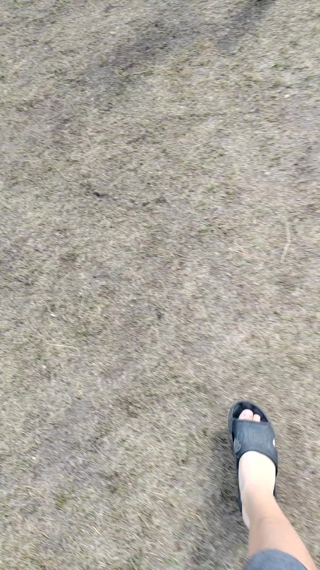 @bikelive finland