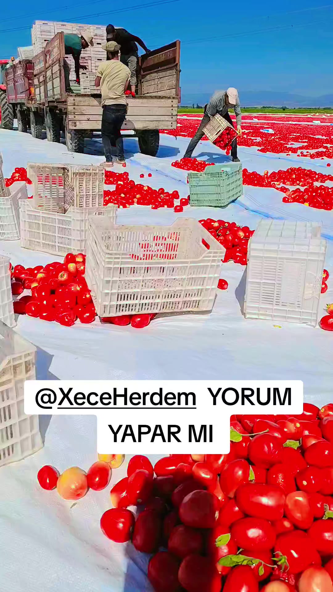 @🔥 ZÜLFÜKAR 🔥