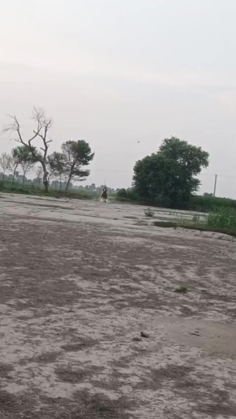 @Ameer kazmi5