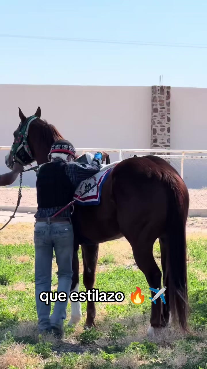 @carriles altos de jalisco🐎