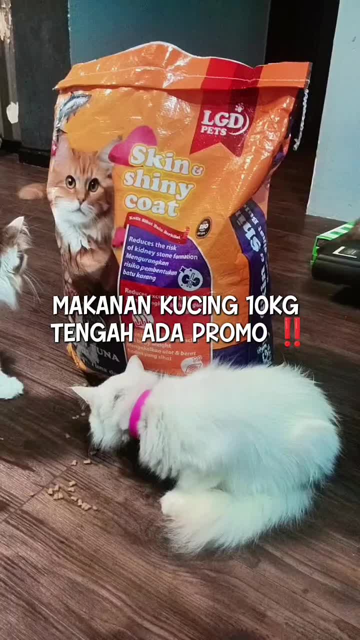 @Norazrena | Racun Tiktok