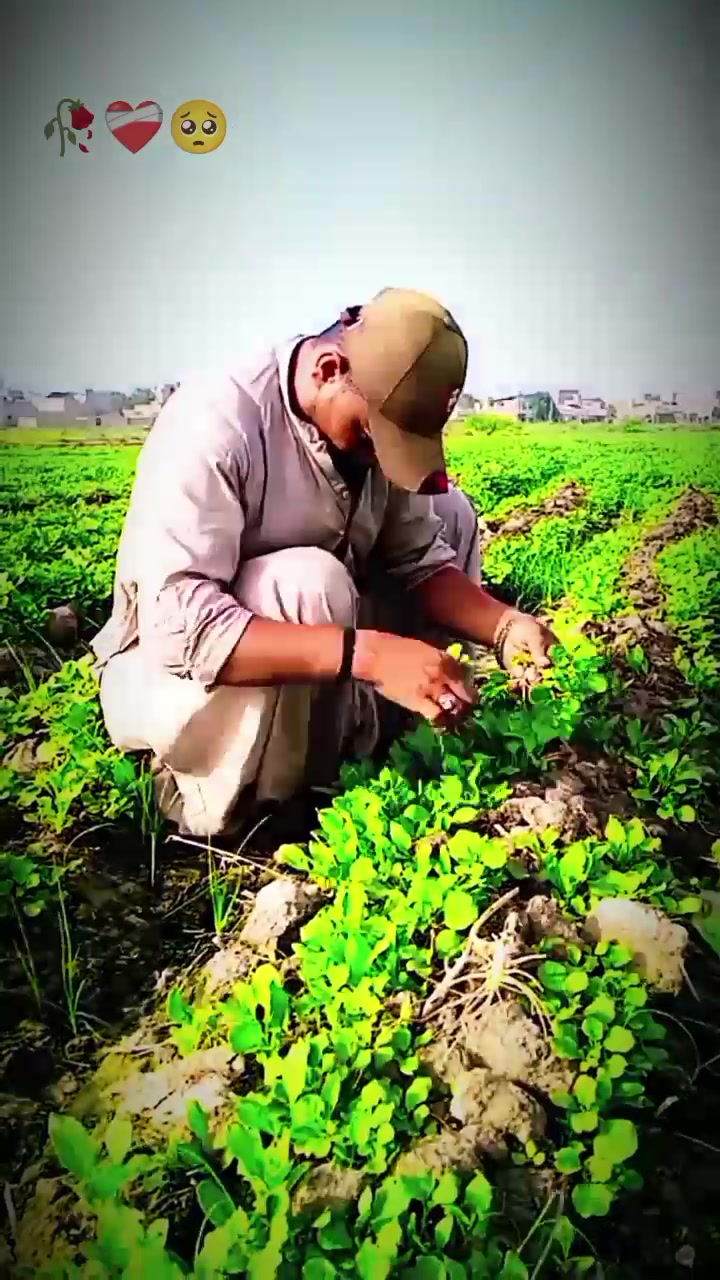 @Ashok thakur
