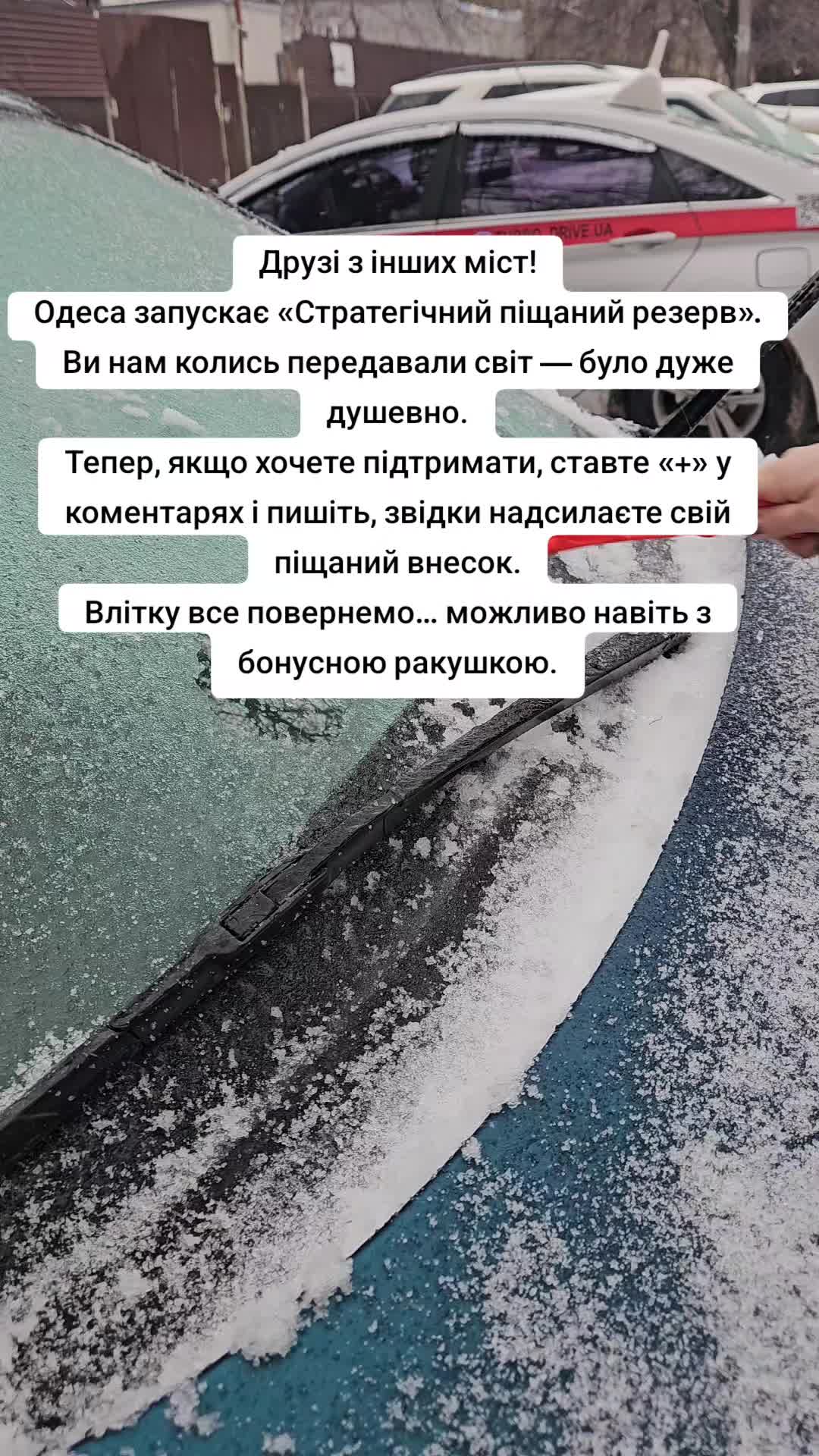 @Ирина Павловна
