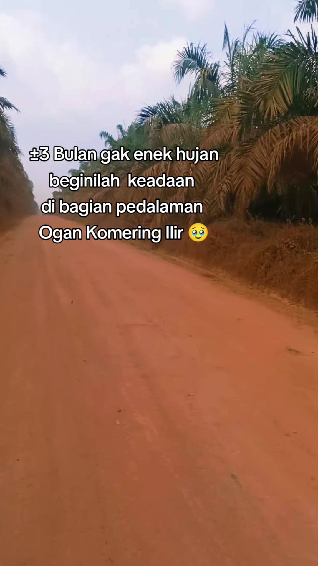@Mas Damar 🪡