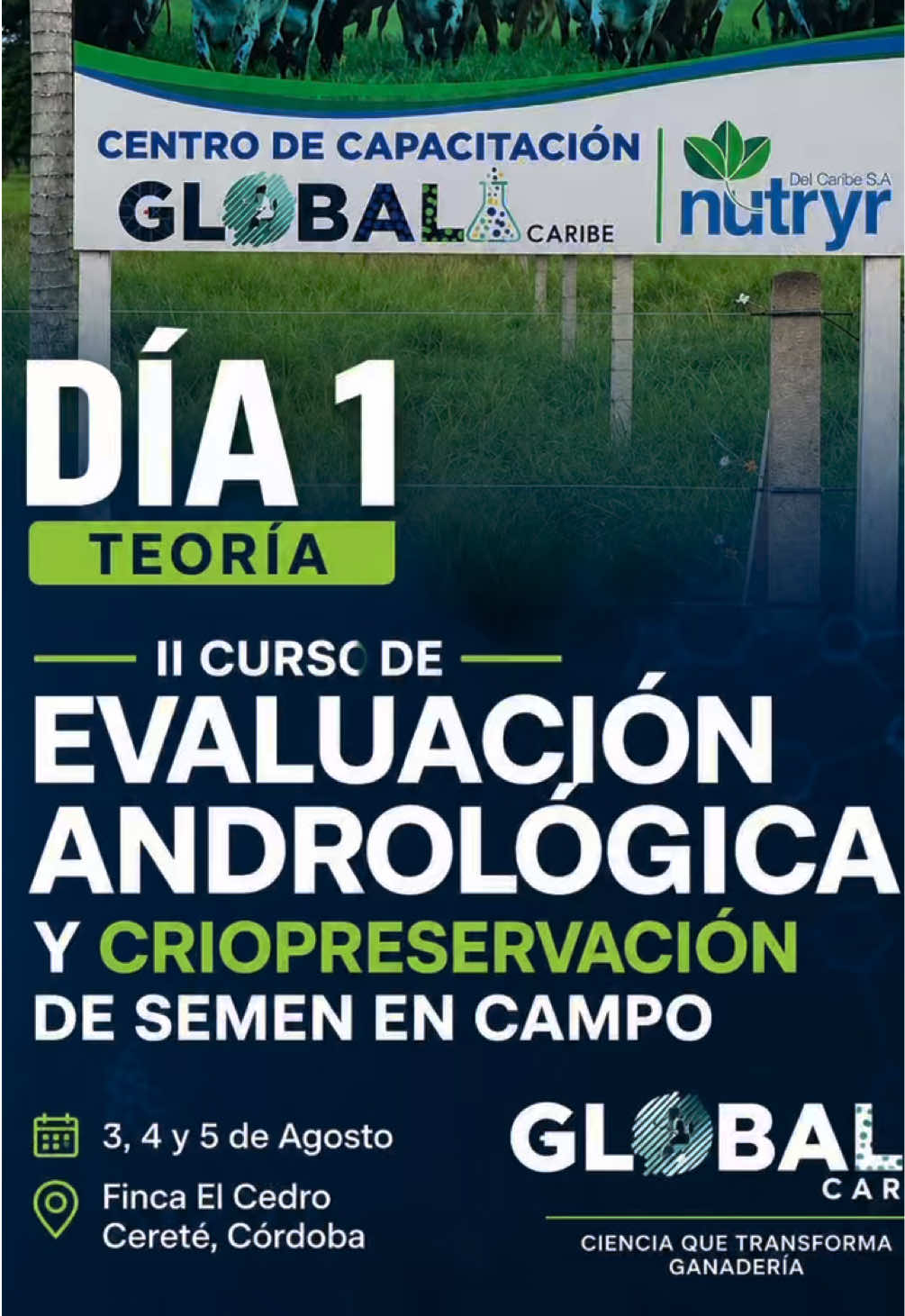 @Global Caribe