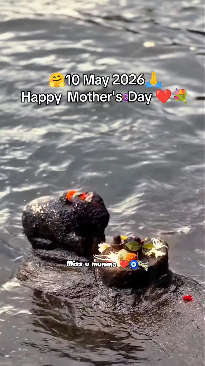 @🕉☘️Sujata❤🌻🦚