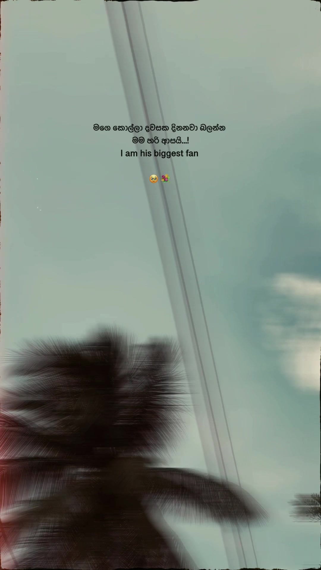 @𝑴𝑨𝑳𝑰𝒀𝑨 𝑸𝑼𝑶𝑻𝑬𝑺 🧸❕