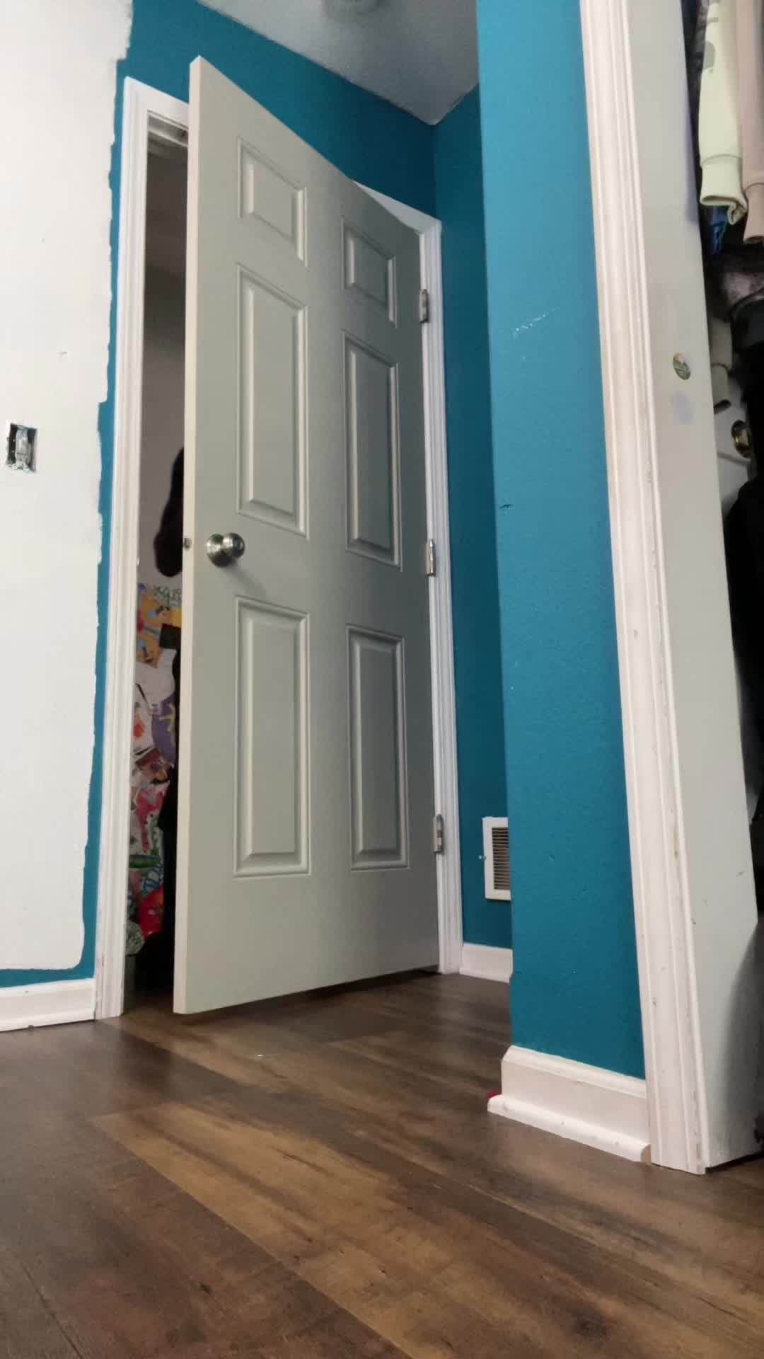 @aydenwest