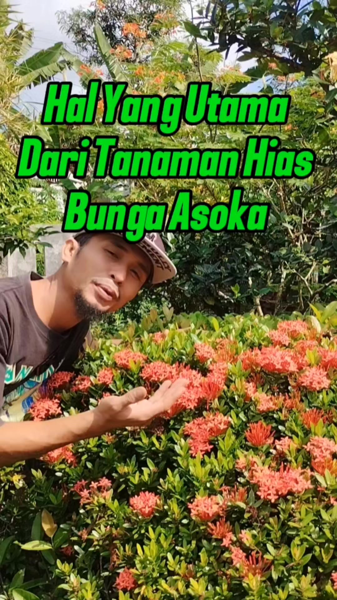 @Bukit Farming