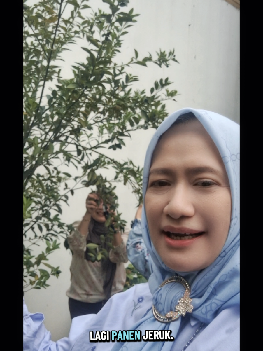 @Muggy Zainal