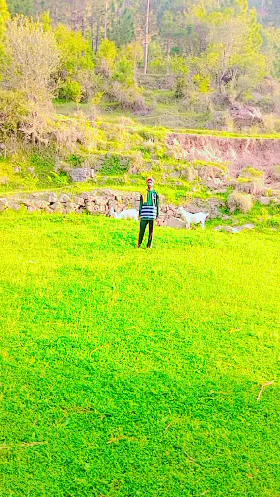 @کشمیر کا Don🍁