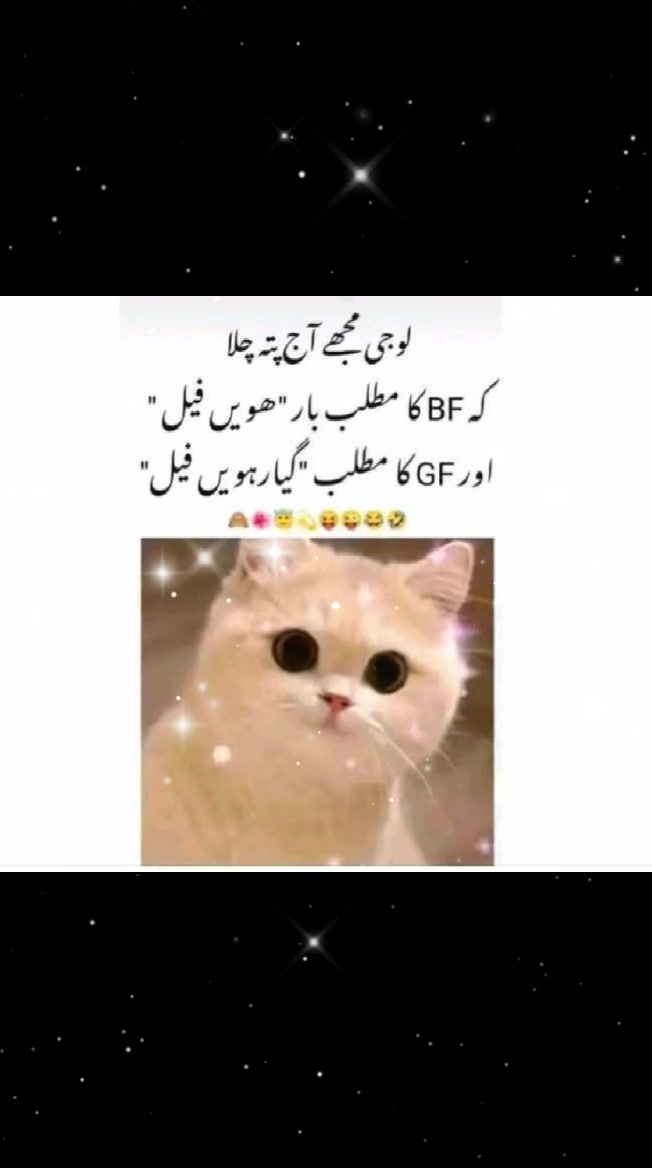 @Areej Shafiq