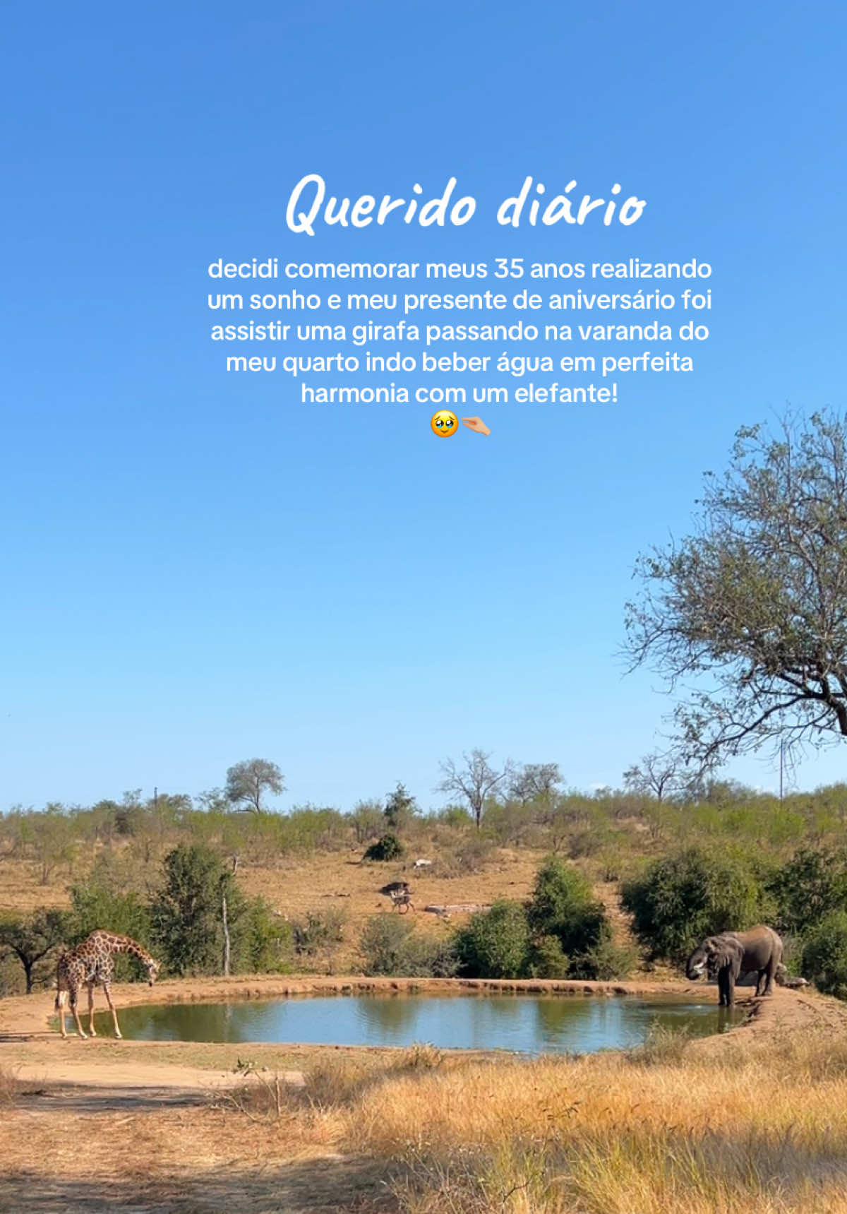 @Mariana Freitas