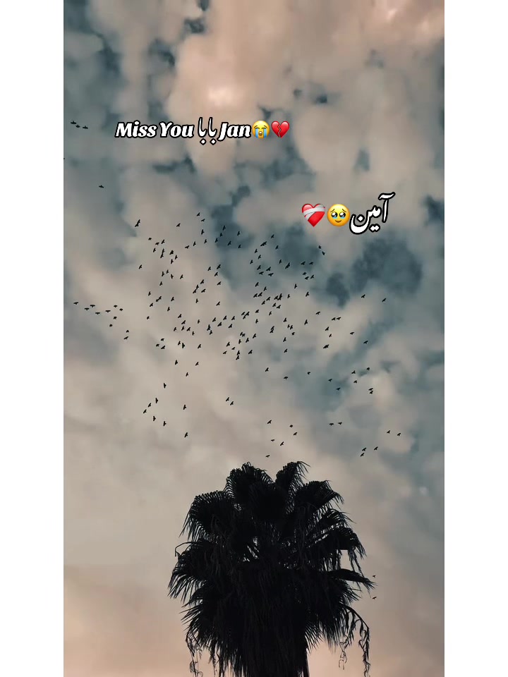 @⚜️𝐊𝐇𝐎𝐊𝐇𝐀𝐑❤️🩹