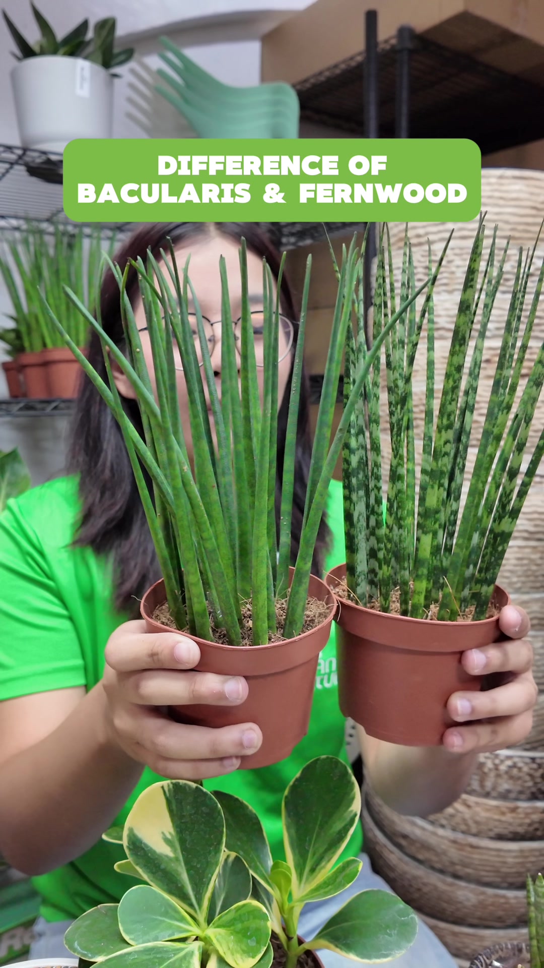 @PlantCulturePH