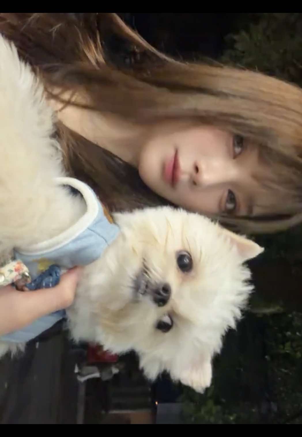 @お市です、