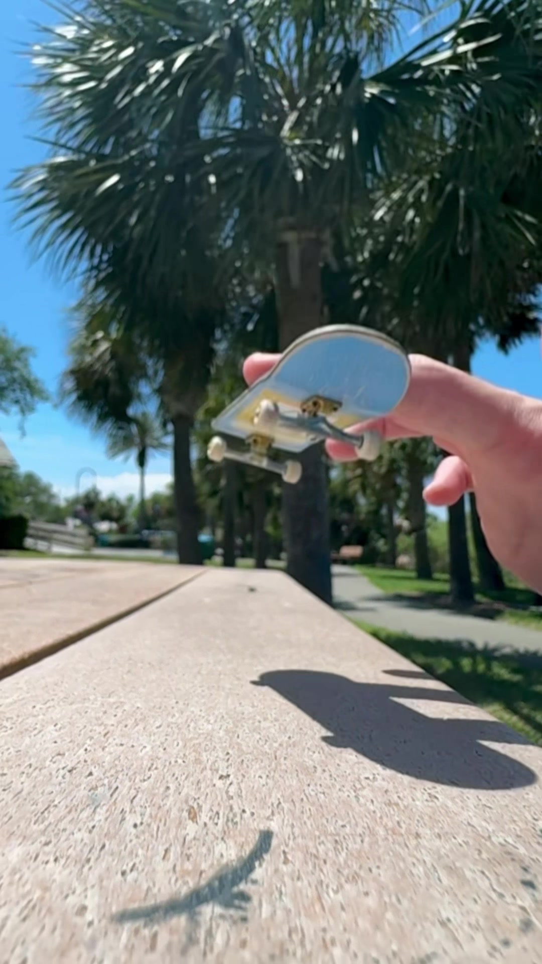 @Fingerboardconnoisseur