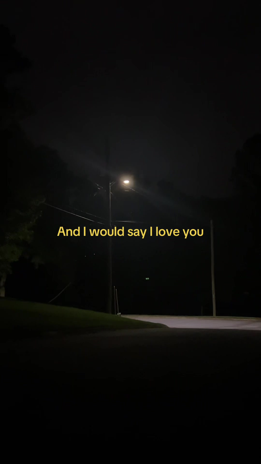 @୨⎯ Rose ⎯୧