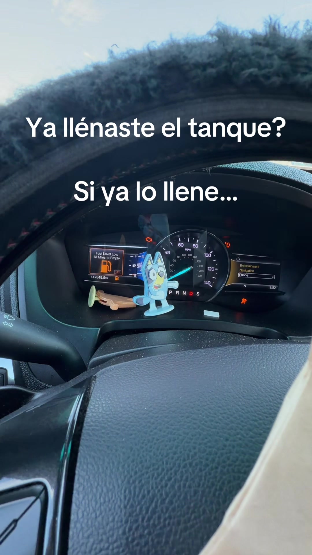 @Sandra Bustos