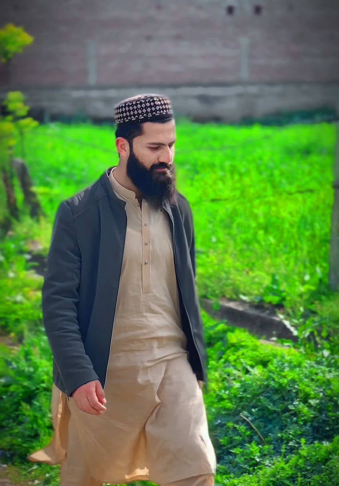 @Taimoor Hashmi