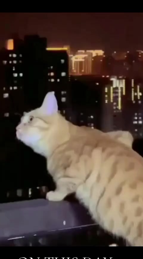 @razznaaa66