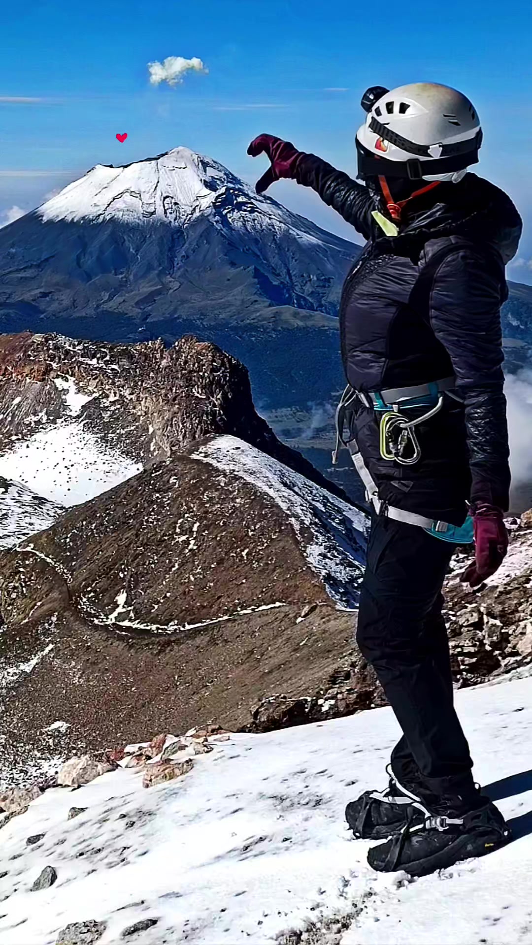 @Loba_de_la_montaña