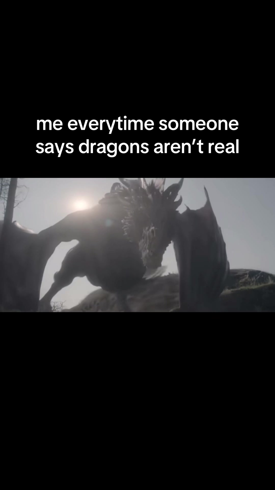 @The Draconic Priestess 🐉