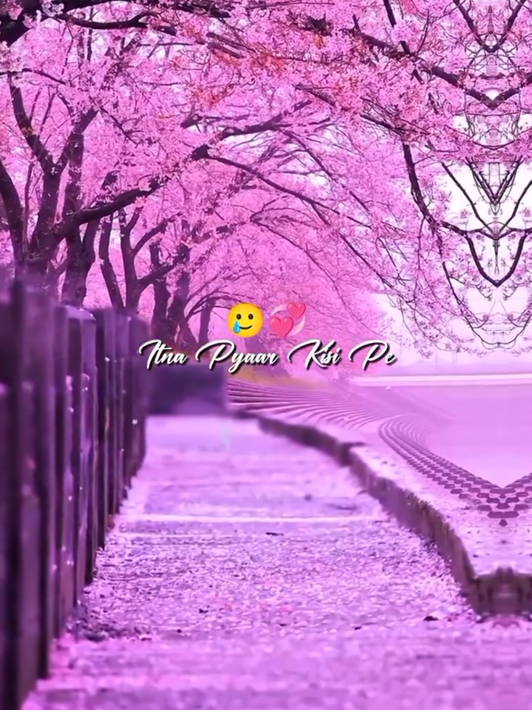 @🦋⃟Akash♡_Hun_Yr🖇️🤍