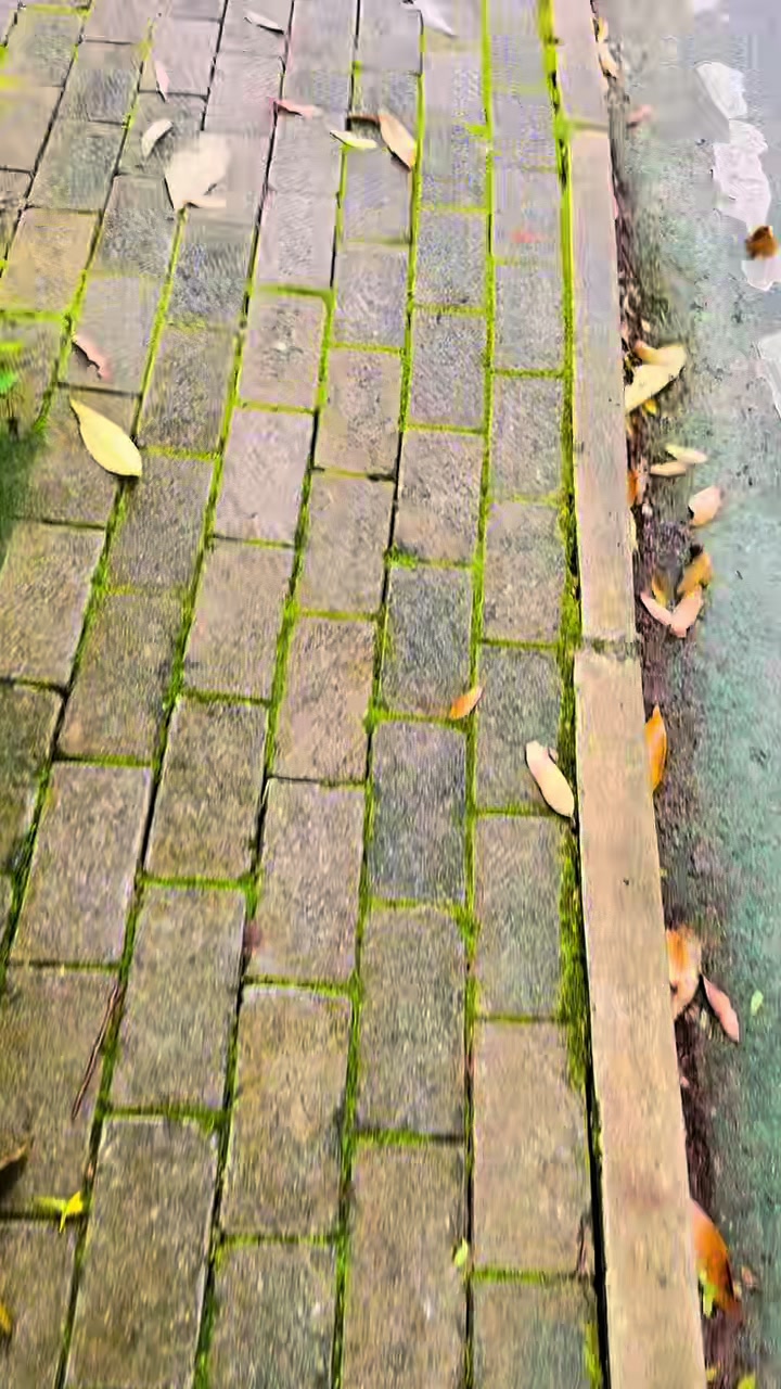 @VARADHA