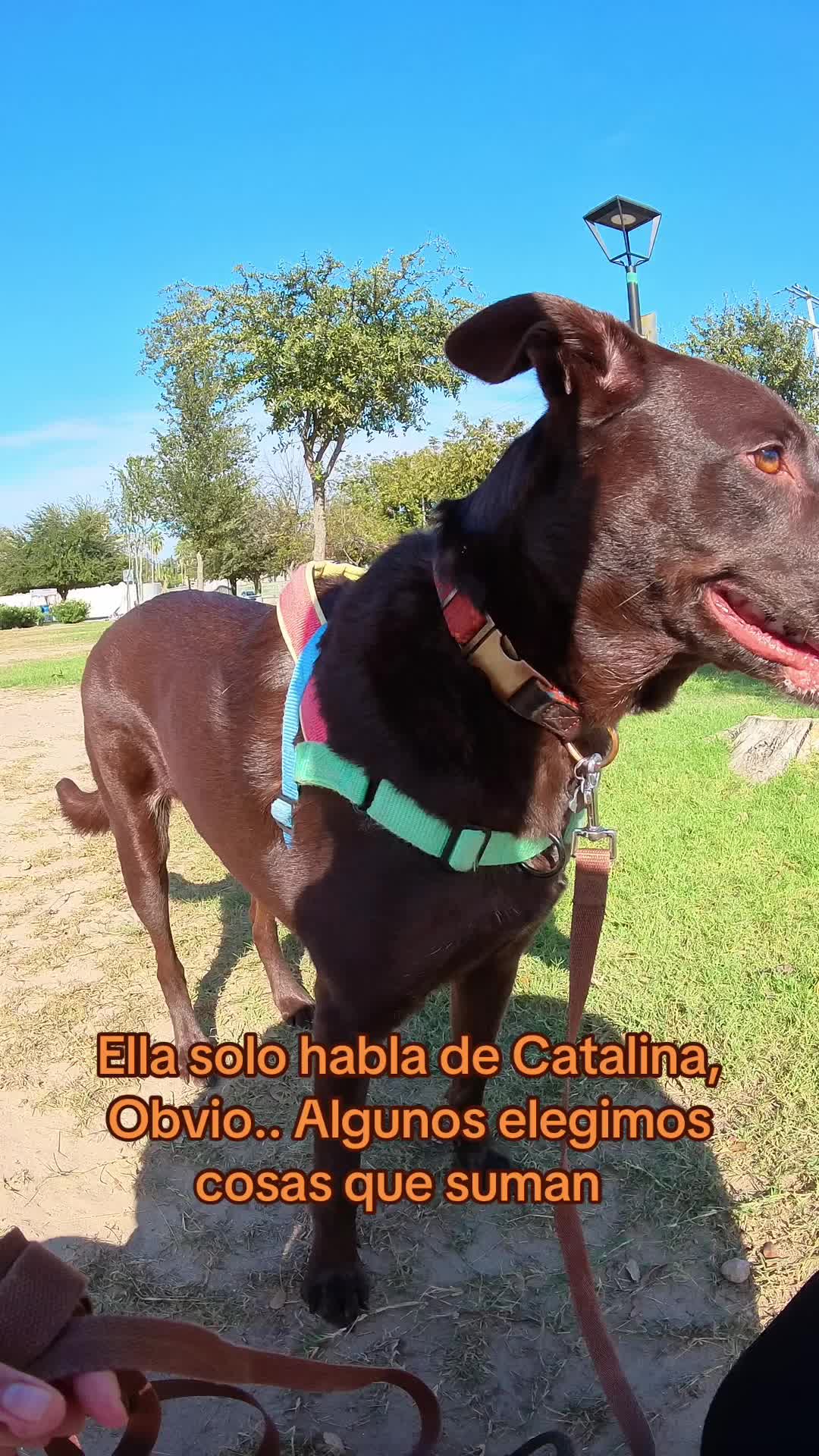 @Soycataliina