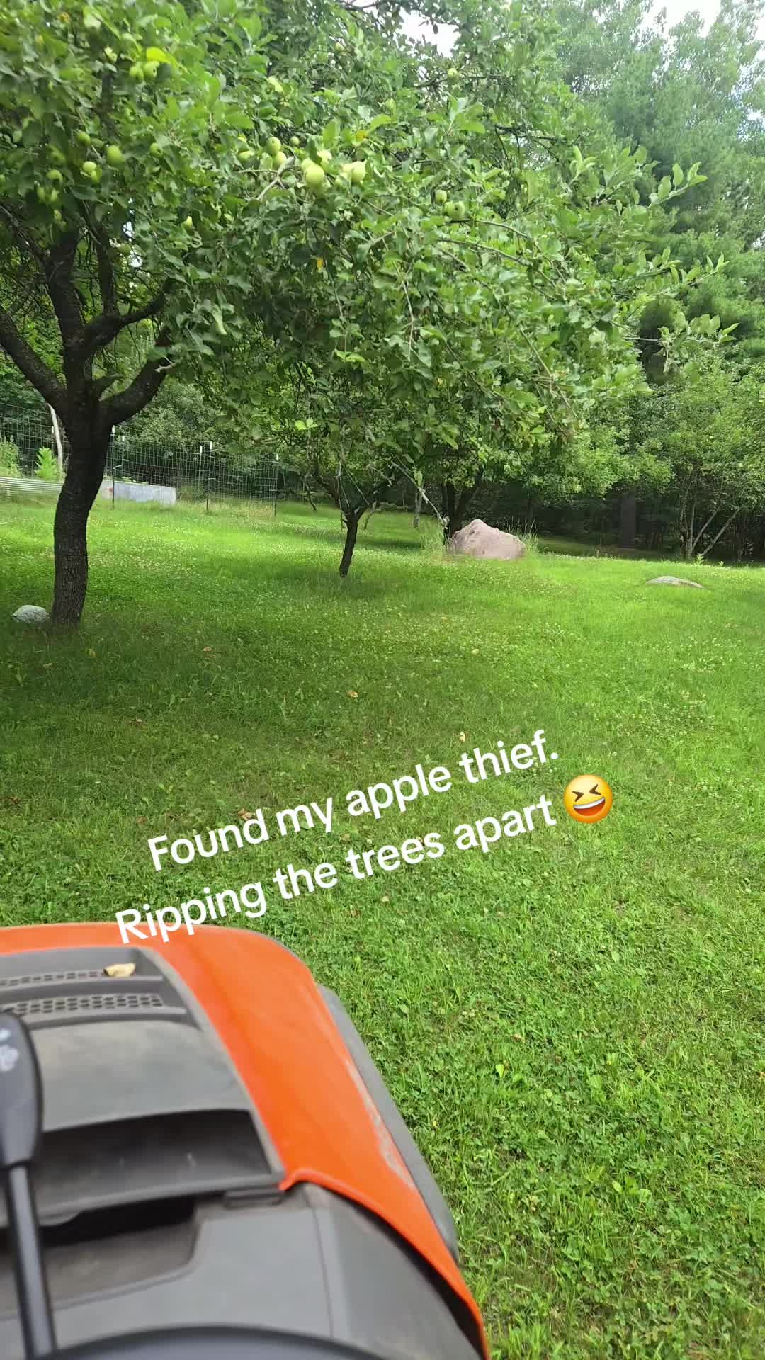 @KP 🌻
