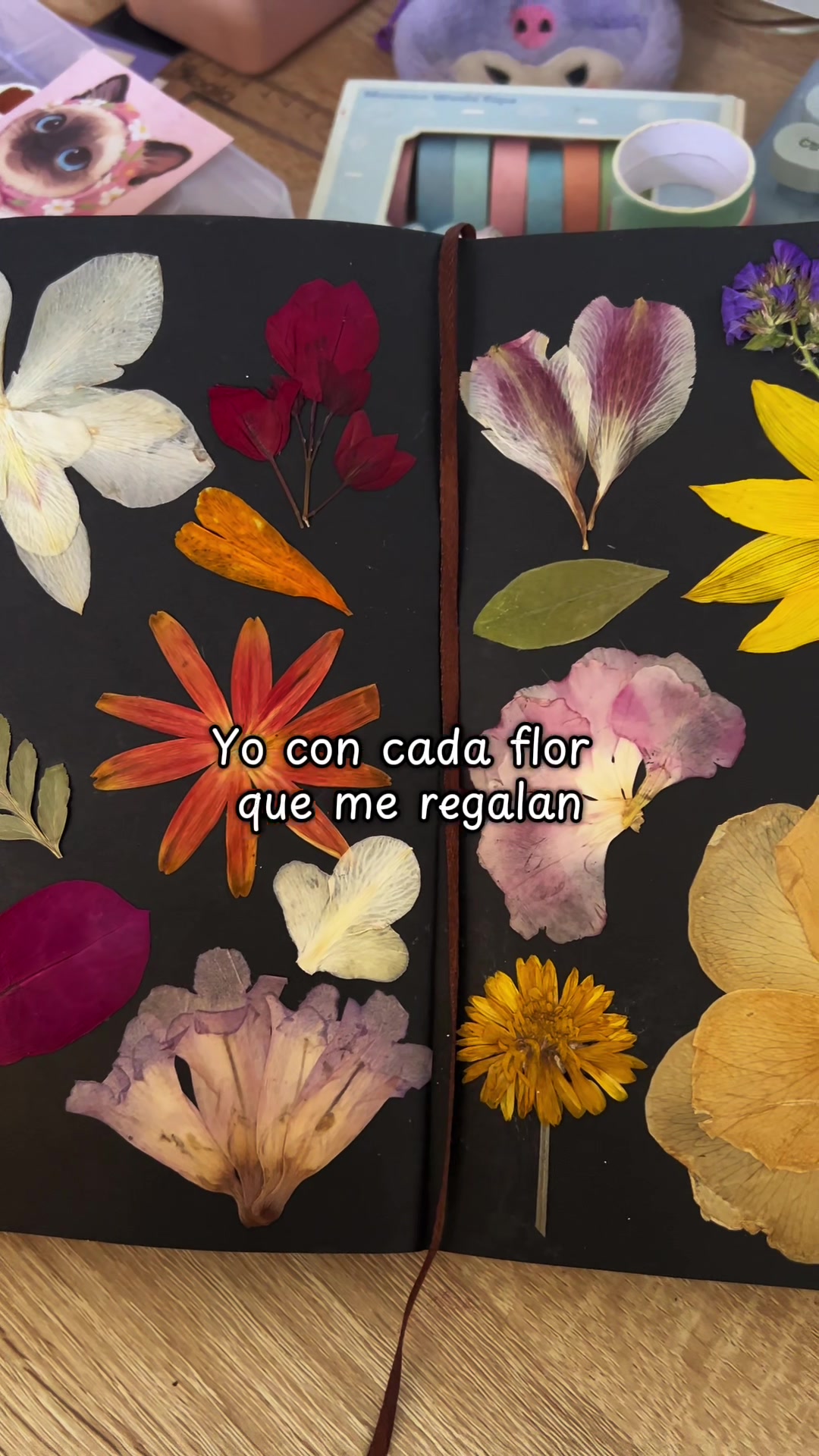 @Pau Cuarón