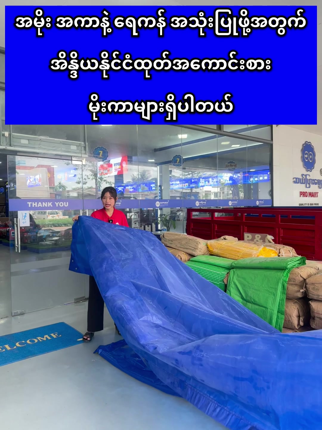 @ဆယ်ပြားစျေး Pro Mart