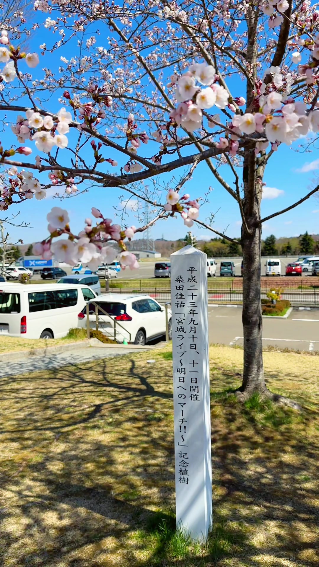 @nijiroco