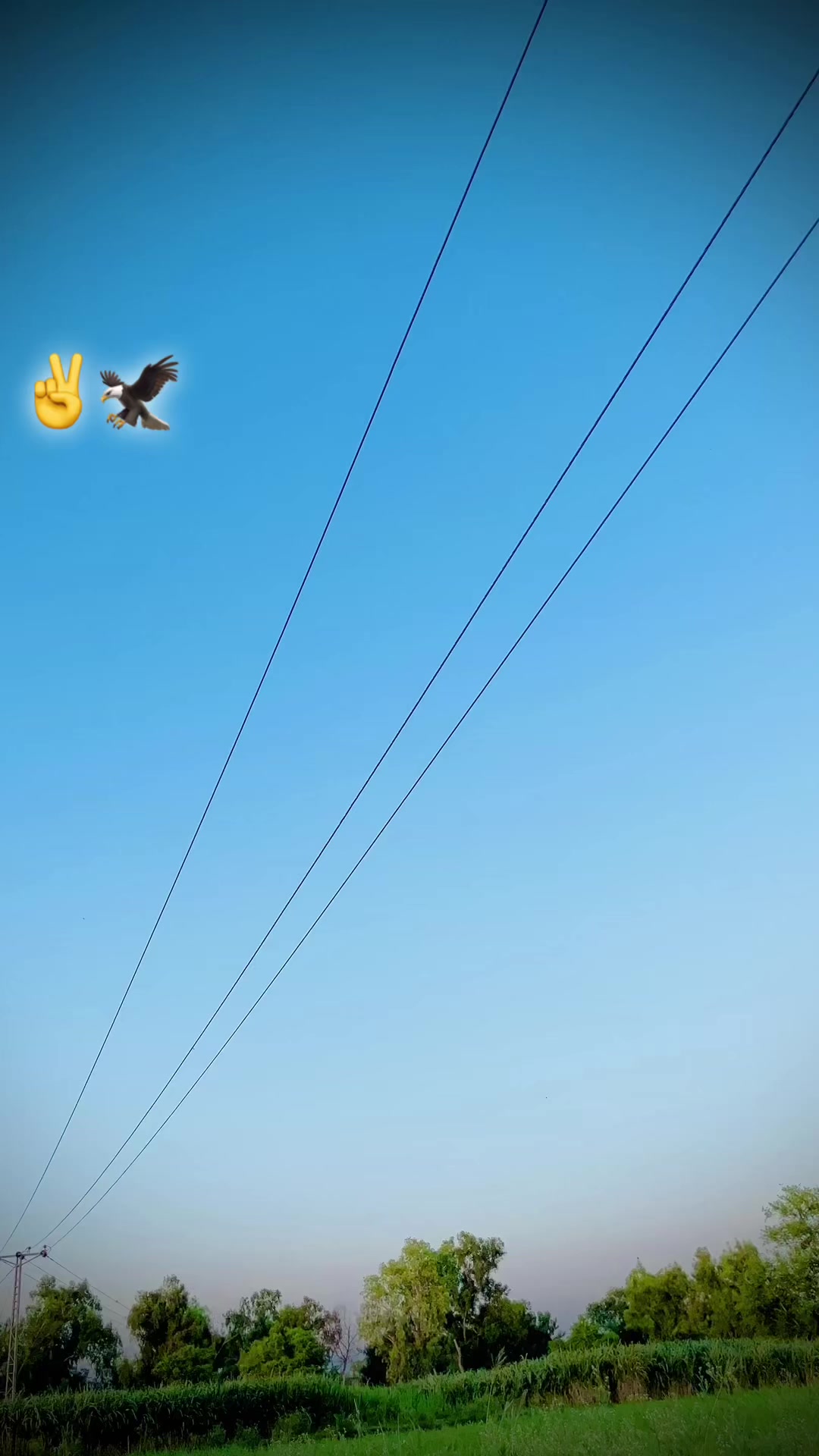 @🦅❣️جاسم خان ❣️🦅