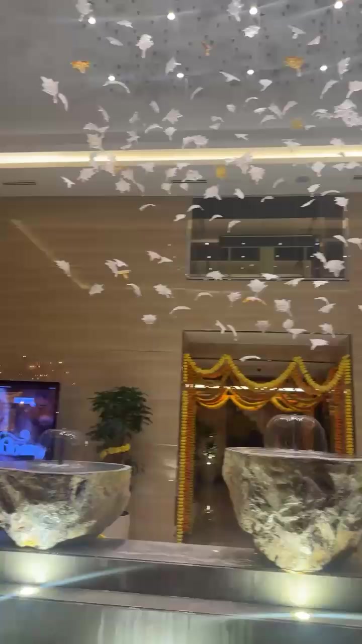 @SHANI TIGER
