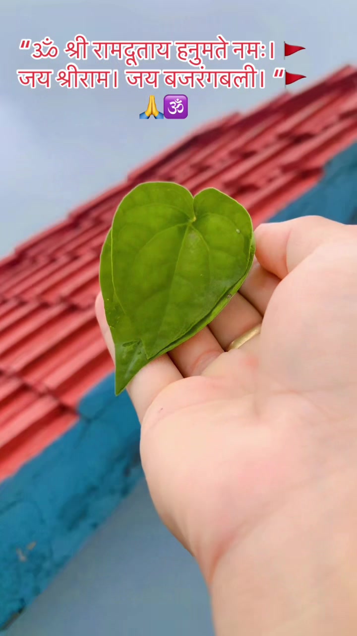 @kusmisilwalrawat🕉️🍀