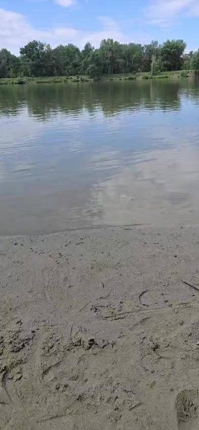 @14_Region_14