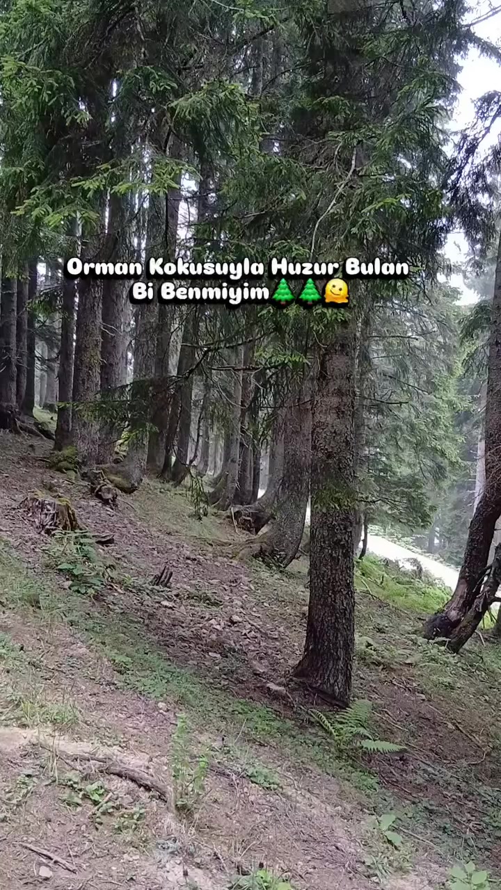 @_Hafizali61