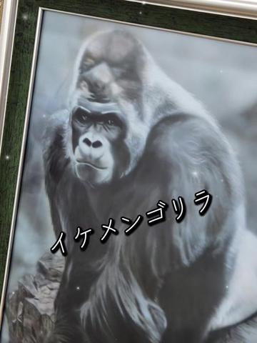 @✠アリゾナ〉ガレージ66ペイント𝒉𝒐𝒖𝒔𝒆✠