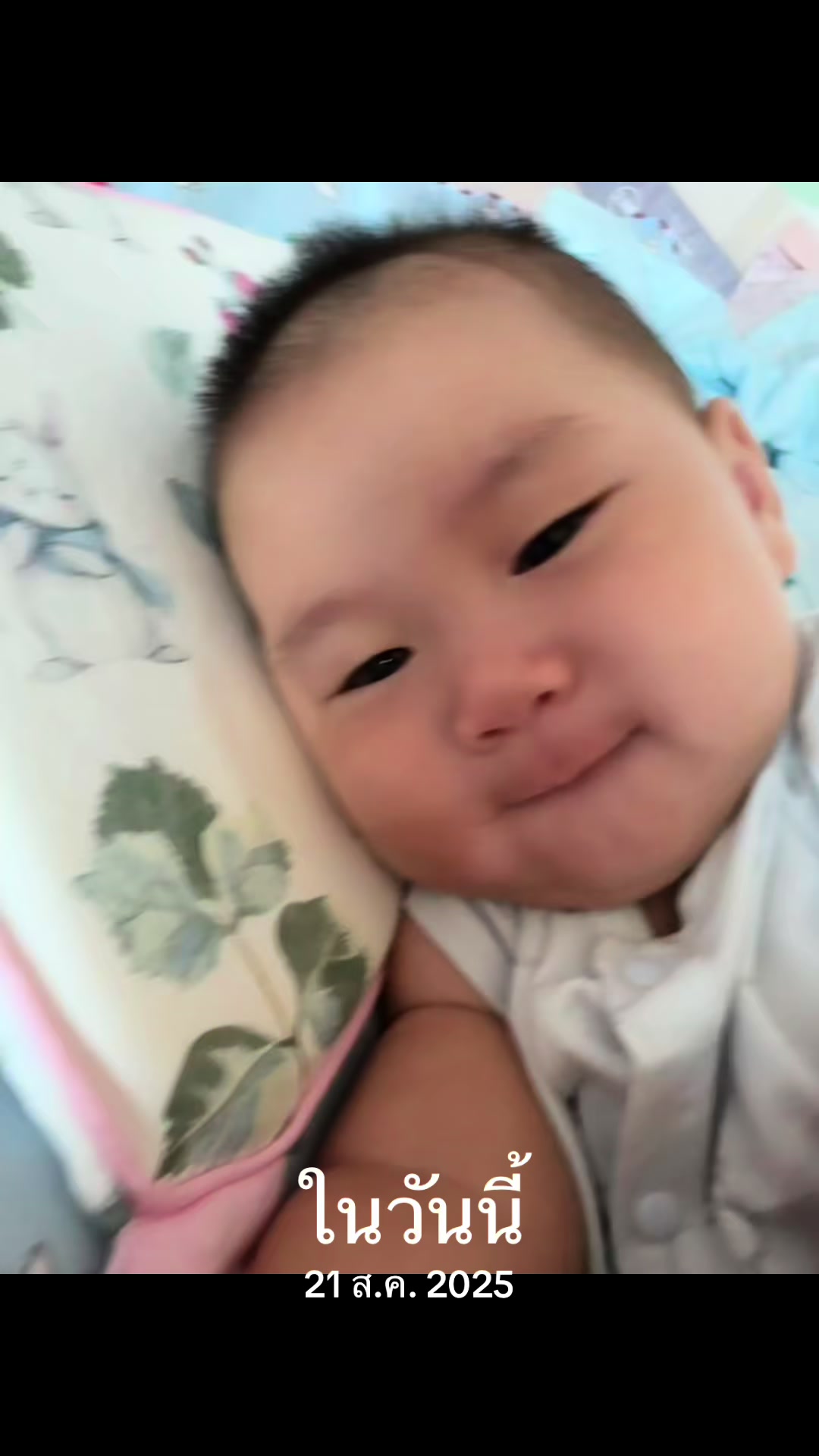 @盼盼(แป้ง)