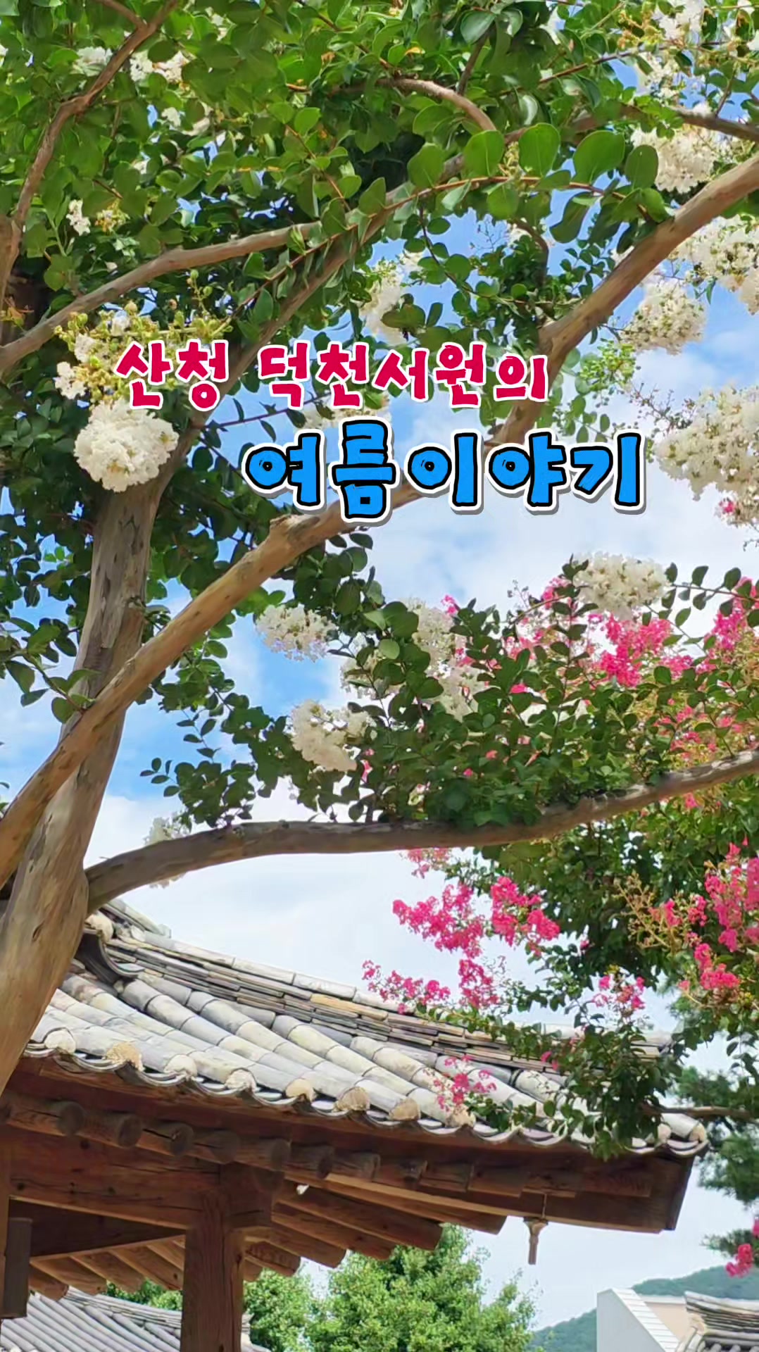 @ON로드 여행기