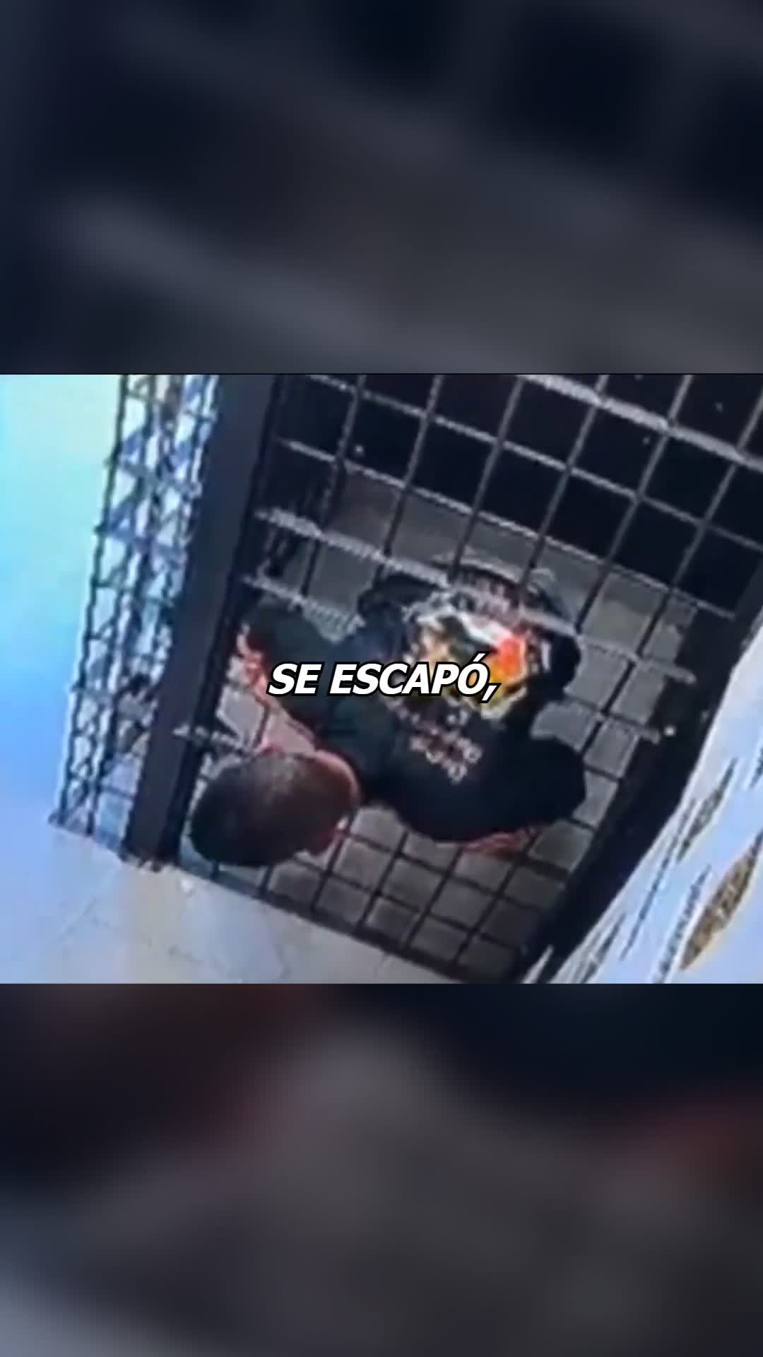 @Charlygalleta