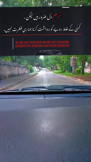 @RAJA NAEEM123tiktok